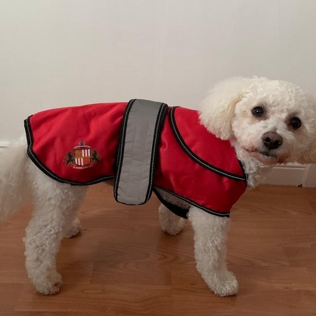 Buy the dog coat online at Sunderland AFC Store