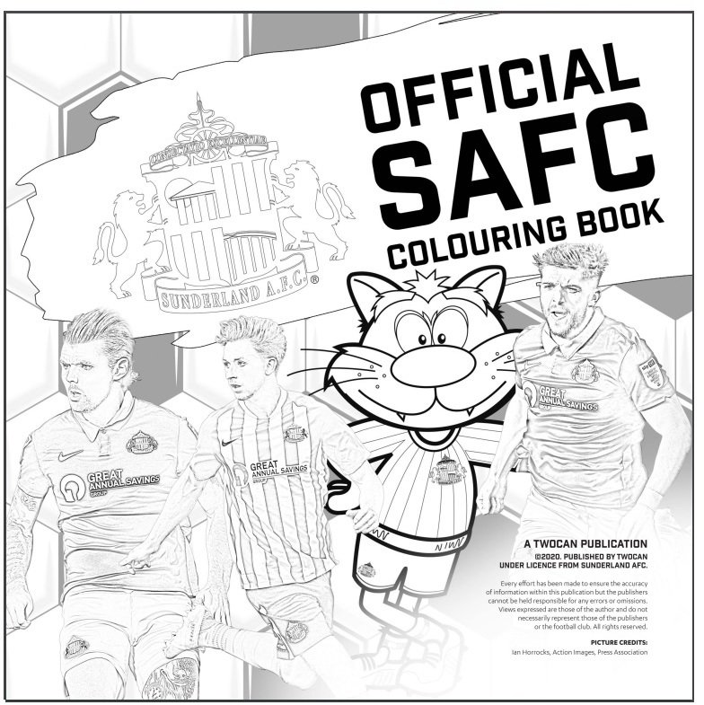 Buy the SAFC Colouring Book online at Sunderland AFC Store